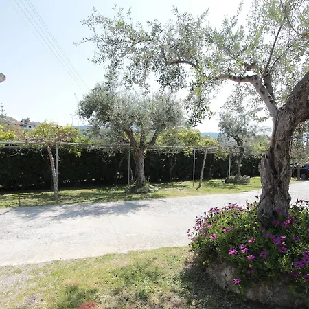 Apollon Appartamento Akrogiali