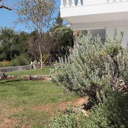 Apollon Appartement Akrogiali