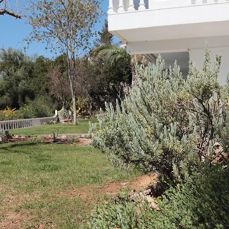Apollon Ακρογιάλι