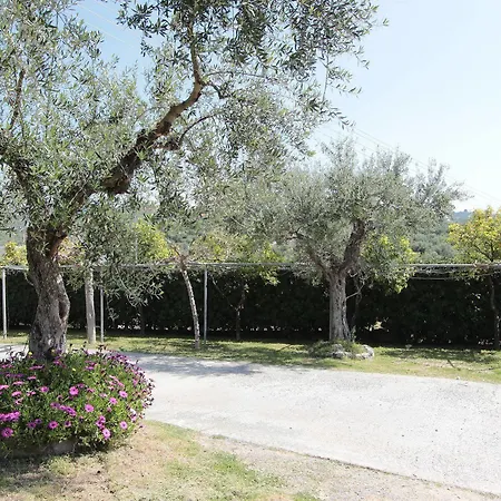 Apartment Apollon